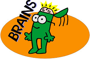 brain