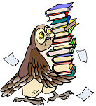 owl