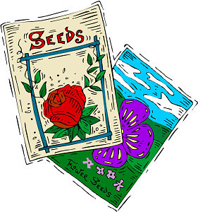 seeds