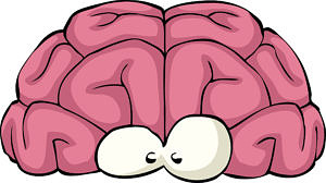 brain
